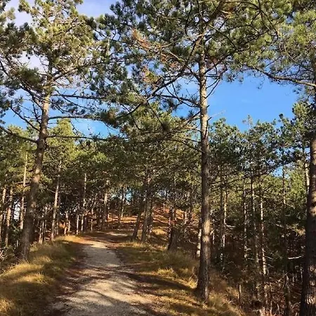 Zilt - Rekerlanden 283 * Schoorldam