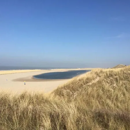 Zilt - Rekerlanden 283 *