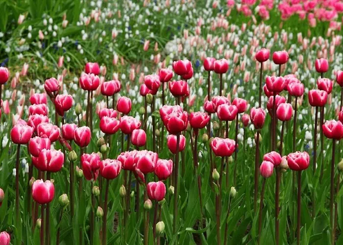 Zilt - Rekerlanden 283