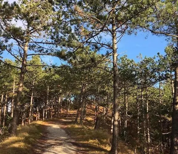 Zilt - Rekerlanden 283 * Schoorldam