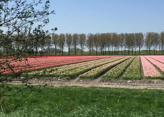 Zilt - Rekerlanden 283 * Schoorldam